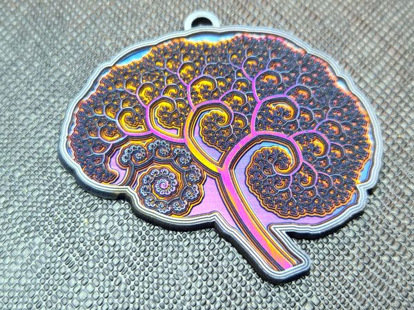 Fractal Brain
