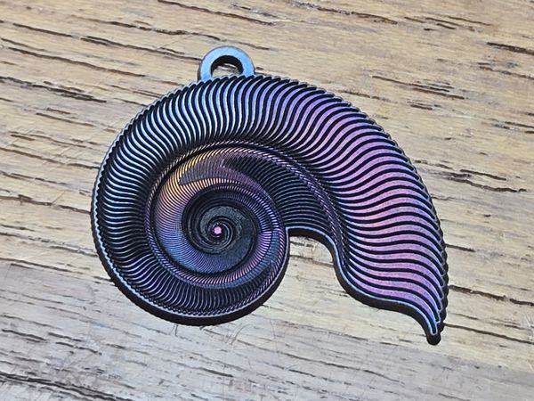 Nautilus - Purple & Red