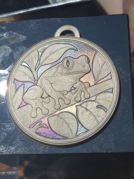 Tree Frog Rainbow
